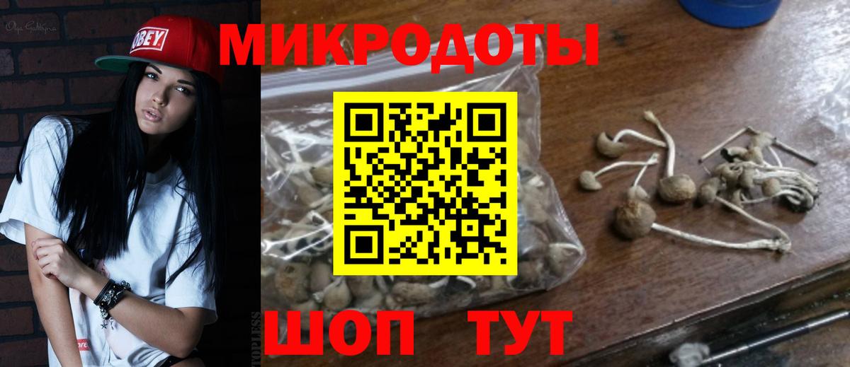 Псилоцибиновые грибы мухоморы  Галлюциногенные грибы MAGIC MUSHROOMS  Вход с VPN  Славгород 